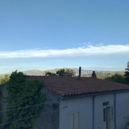 Apartament Monti Di Bo Aggius Zewnętrze zdjęcie